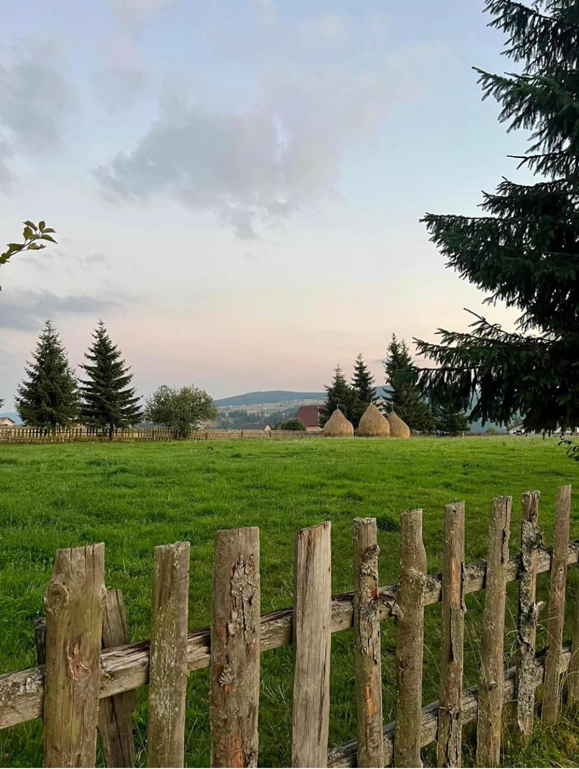 Mokki Villa Mărişel Exterior foto